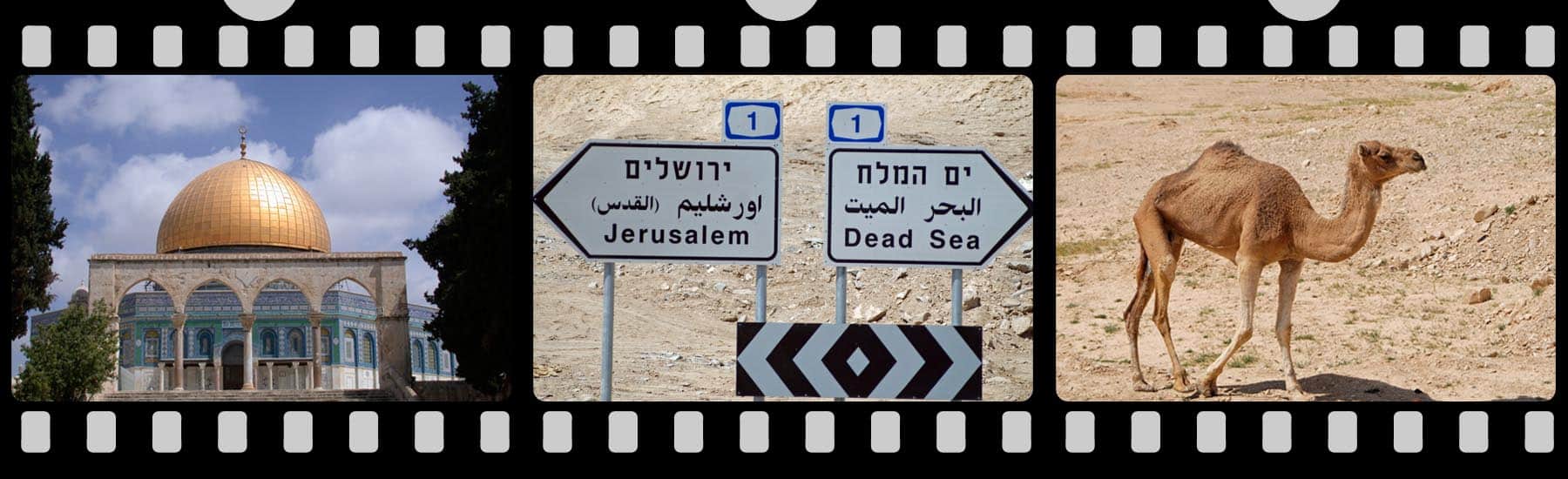 filmstrip header image